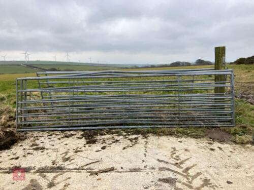 5 GALVANISED FIELD GATES