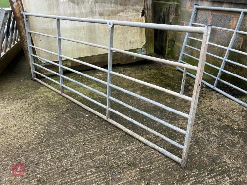 IAE 10' GALVANISED FIELD GATE (35)