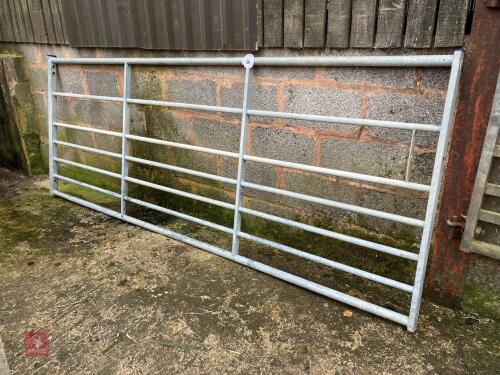IAE 10' GALVANISED FIELD GATE (36)