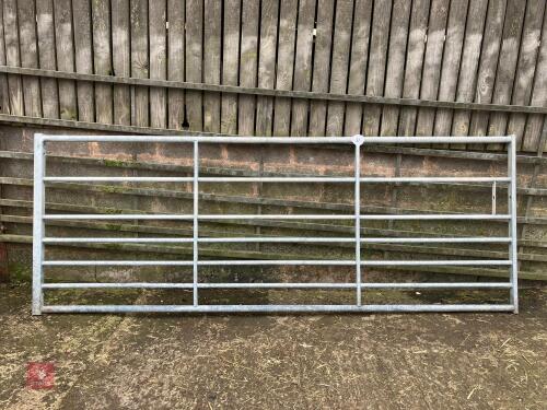 IAE 10' GALVANISED FIELD GATE (37)