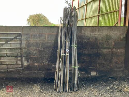 QTY OF BAMBOO CANES (40)