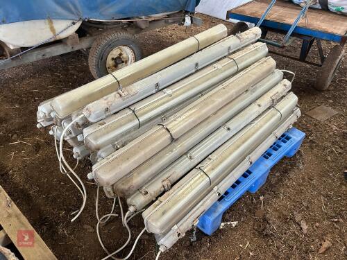 32 X 4' STRIP LIGHTS
