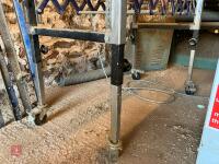 SCISSOR ROLLER TIMBER FEED TROLLY - 5