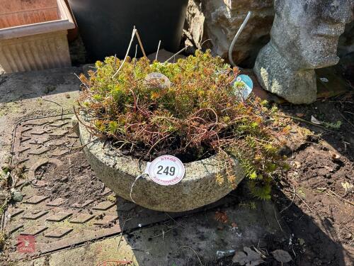 GRANITE PLANTER