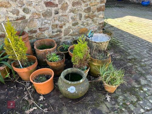 15 X VARIOUS TERRACOTTA POTS & CONTENTS