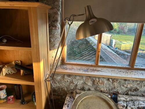 2 X STUDIO FREE STANDNG LAMPS