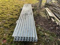 12' SHEETS OF GALVANISED CORRUGATED IRON