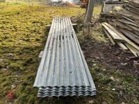 12' SHEETS OF GALVANISED CORRUGATED IRON - 6