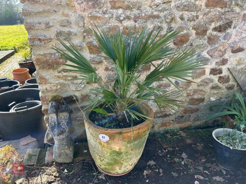 LARGE TERRACOTTA POT