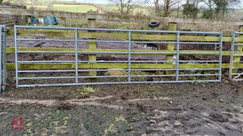 14' GATE