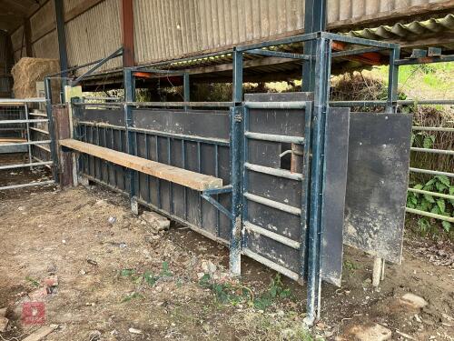 29' FIXED CATTLE RACE