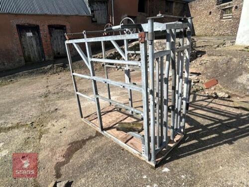 GALVANISED CATTLE CRUSH