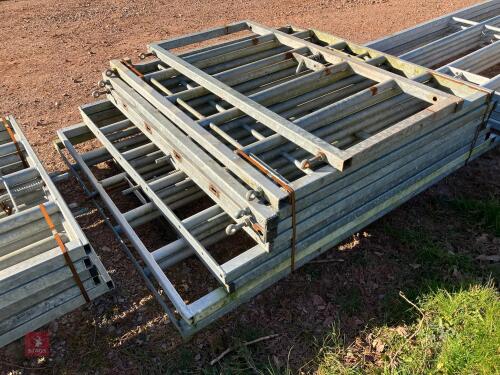9 MIXED SIZE 6 RAIL GATES/PANELS