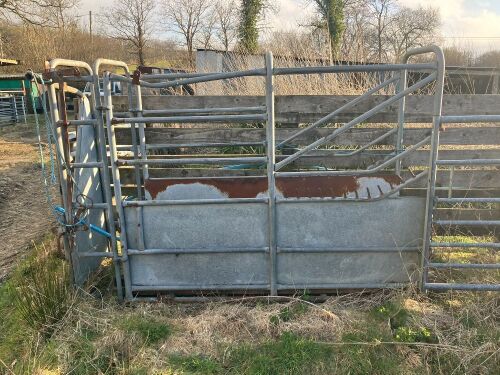 CATTLE CRUSH