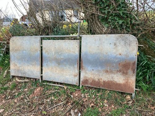 SHEETED 2.5M POLDENVALE HURDLE (4)
