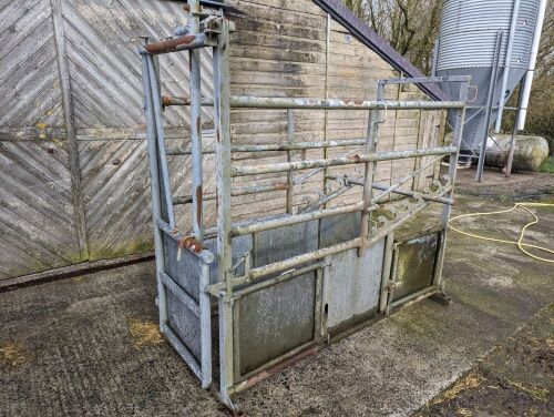GALVANISED CATTLE CRUSH