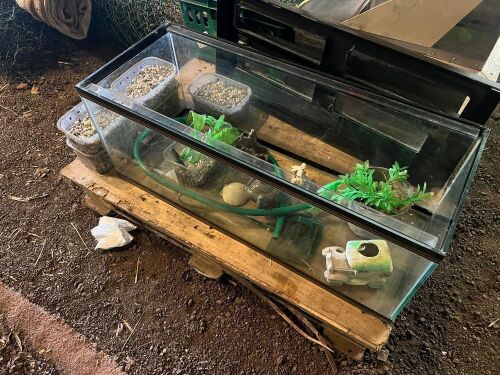 FISH TANK