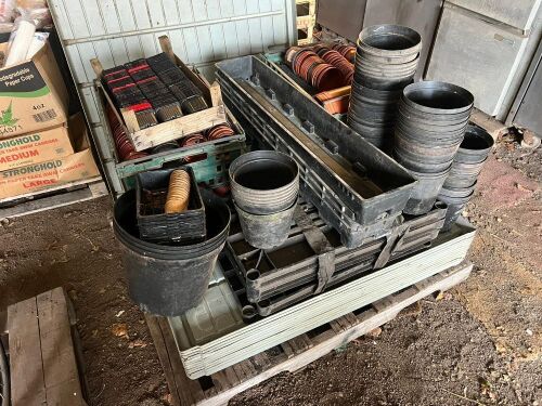 13 BIG PLANT TRAYS