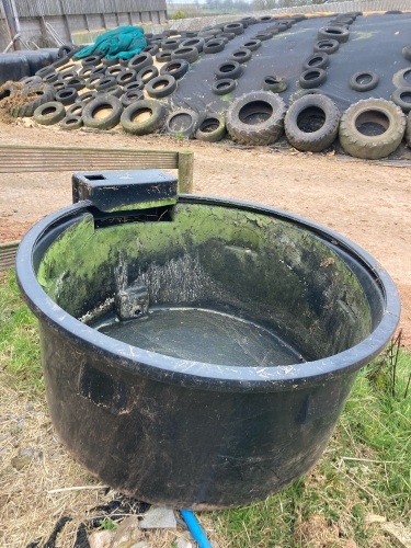 BLACK WATER TROUGH