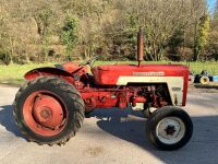 INTERNATIONAL 434 2WD TRACTOR - 2