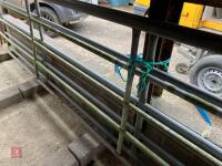 2 X HEAVY DUTY YARD GATES - 2