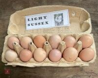 1 DOZEN LIGHT SUSSEX HATCHING EGGS BIDS FOR THE DOZEN