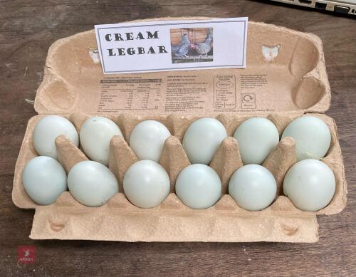 1 DOZEN CREAM LEGBAR HATCHING EGGS BIDS FOR THE DOZEN