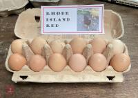 1 DOZEN RHODE ISLAND HATCHING EGGS BIDS FOR THE DOZEN