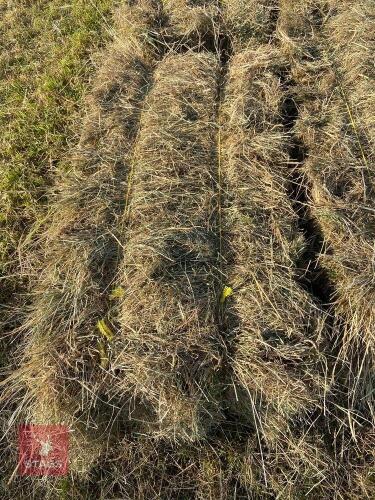 50 CONVENTIONAL BALES OF 2024 HAY BIDS FOR THE GROUP