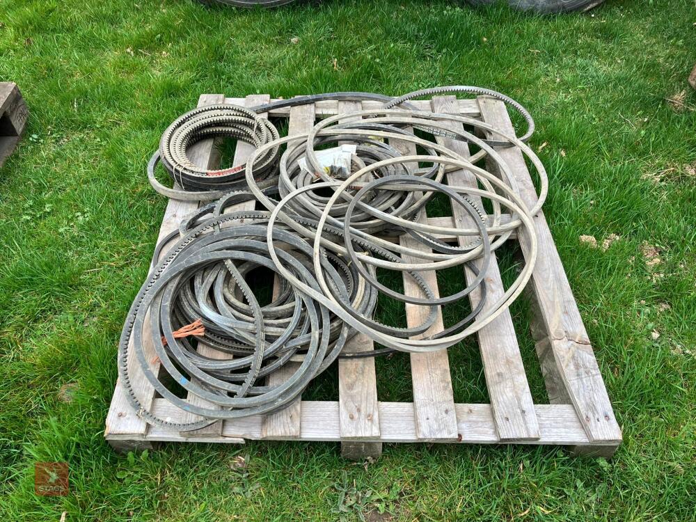 PALLET OF ASSORTED DRIVE BELTS