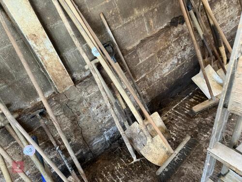 SHOVELS FORKS & BRUSHES