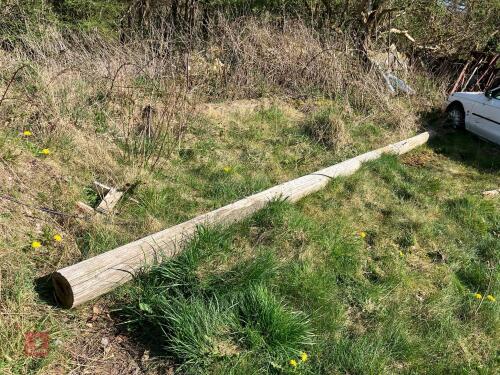 20' TELEGRAPH POLE