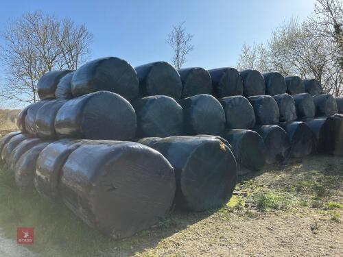 100 ROUND BALES OF 2023 SILAGE BIDS PER BALE