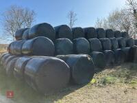 100 ROUND BALES OF 2023 SILAGE BIDS PER BALE