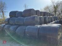 100 ROUND BALES OF 2023 SILAGE BIDS PER BALE - 2