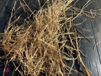 100 ROUND BALES OF 2023 SILAGE BIDS PER BALE - 7