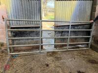 10' GALVANISED HD YARD GATE