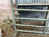10' GALVANISED HD YARD GATE - 2