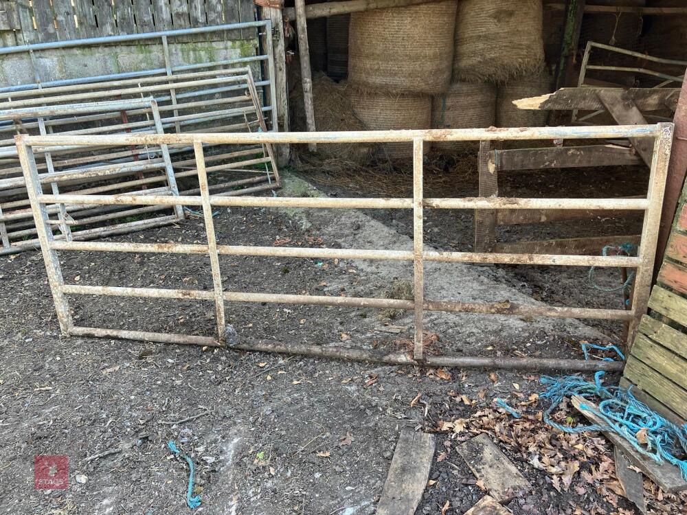10' GALVANISED YARD GATE