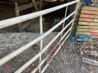 9' GALVANISED YARD GATE - 8