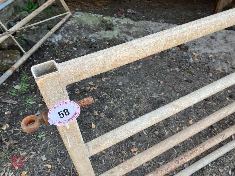 12' HD YARD GATE