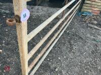 12' HD YARD GATE - 4