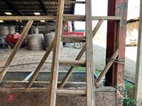 9M WOODEN LADDER - 3