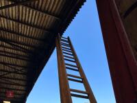 9M WOODEN LADDER - 5