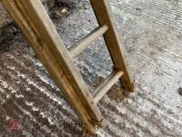 9M WOODEN LADDER - 6