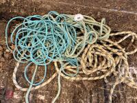 VARIETY OF ROPE