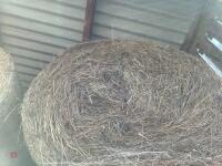 425 BALES OF 2924 HAY BIDS PER BALE - 4