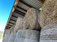 425 BALES OF 2924 HAY BIDS PER BALE - 6