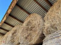 425 BALES OF 2924 HAY BIDS PER BALE - 9
