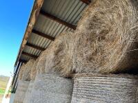 425 BALES OF 2924 HAY BIDS PER BALE - 10